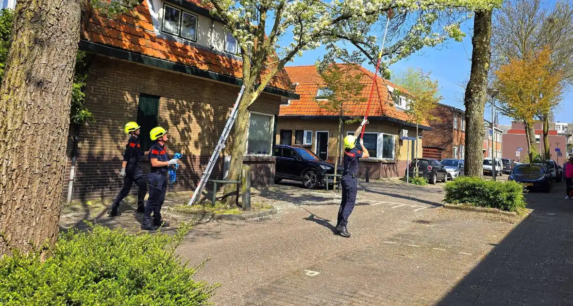 Verhuiswagen raakt tak, brandweer opgeroepen - Foto 3