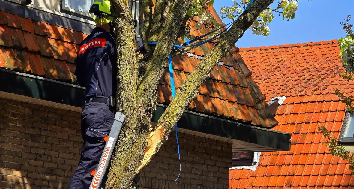 Verhuiswagen raakt tak, brandweer opgeroepen - Foto 5