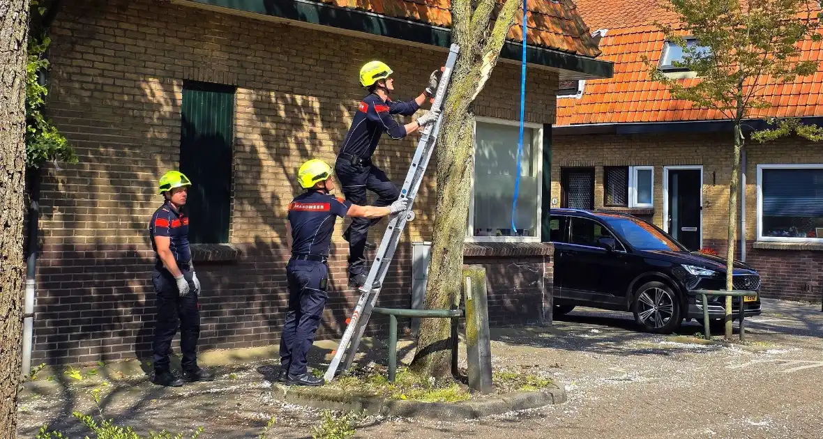 Verhuiswagen raakt tak, brandweer opgeroepen - Foto 6