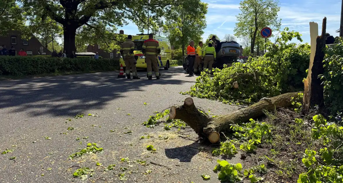 Automobilist ramt meerdere bomen en belandt op op zijn kop - Foto 1