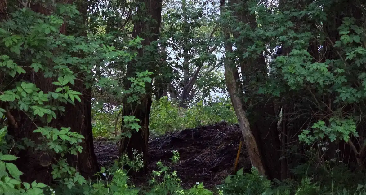 Brandweer blust brand in park - Foto 3