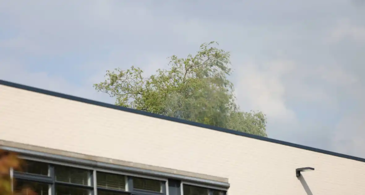 Rook in crematorium doordat crematie mis gaat - Foto 9