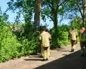 Takken vallen uit boom