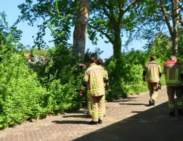 Takken vallen uit boom