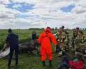 Brandweer en politie redden te water geraakte paard