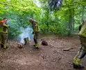 Brand in bosgebied Tilburg snel onder controle