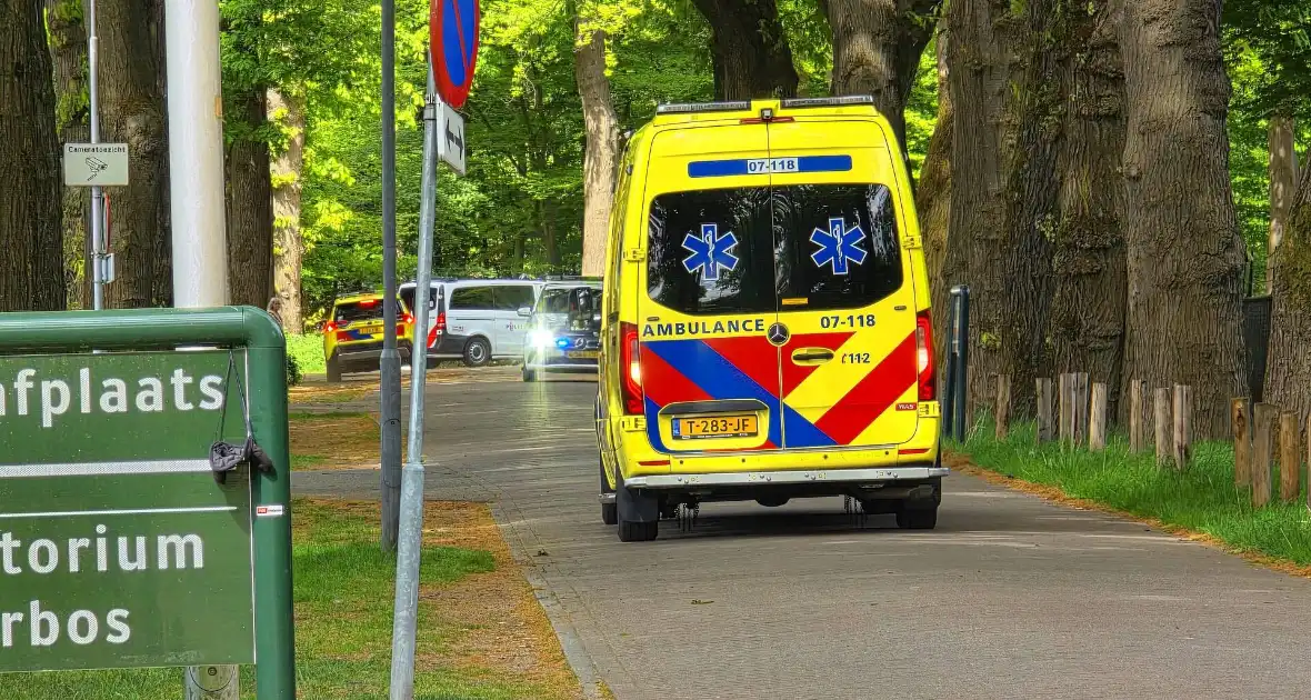 Twee gewonden bij ongeval met paard en wagen - Foto 1