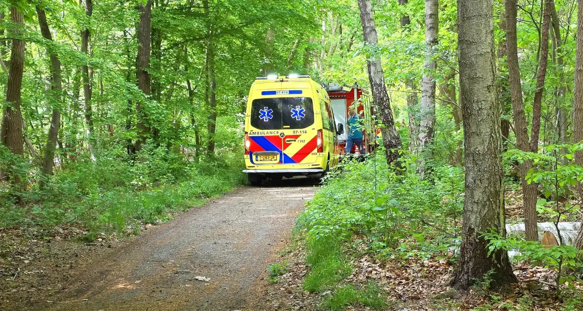 Twee gewonden bij ongeval met paard en wagen - Foto 3