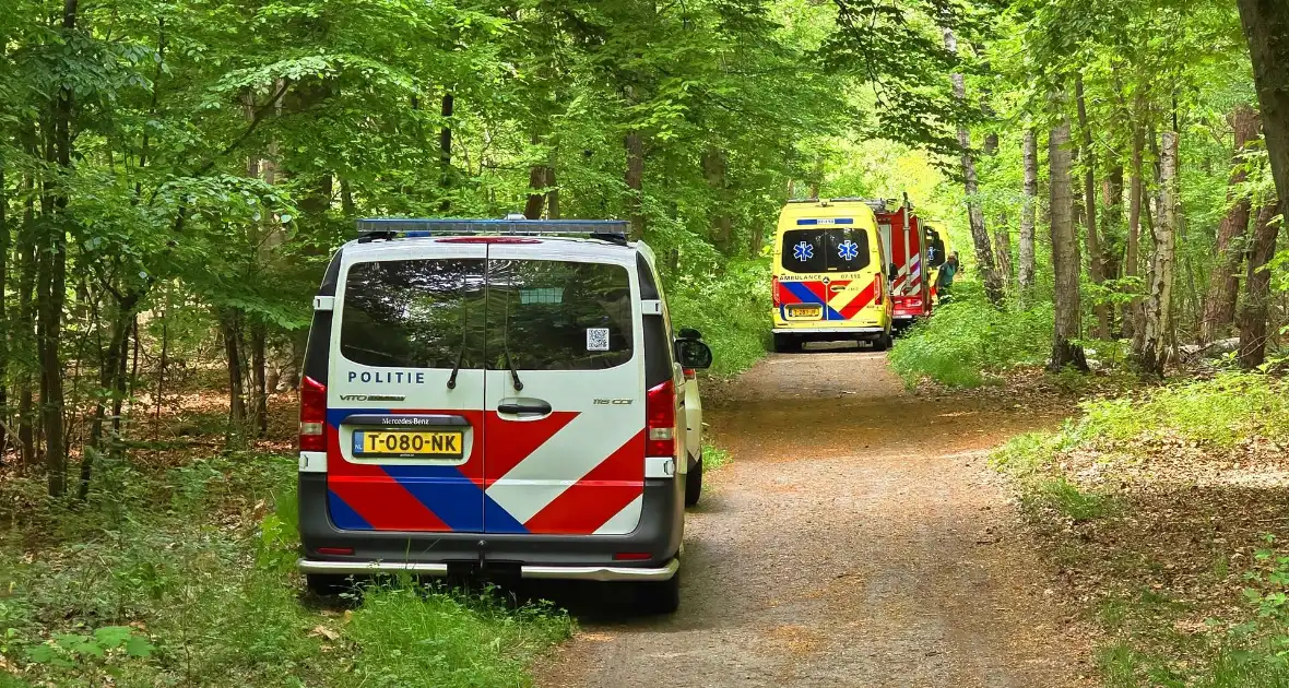 Twee gewonden bij ongeval met paard en wagen - Foto 5