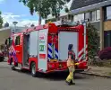 Vogel gevlogen na reddingsactie van brandweer