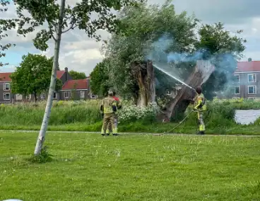 Brandende boom snel gedoofd