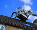 Brandweer haalt kat van nok van dak
