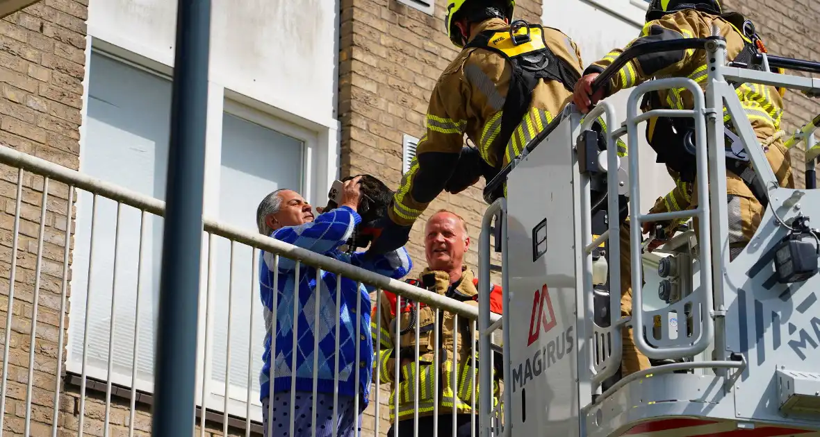 Brandweer haalt kat van nok van dak - Foto 1