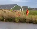 Brandweer ingezet voor hond te water