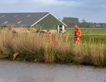 Brandweer ingezet voor hond te water