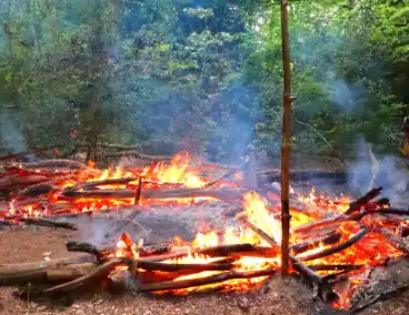 Tevergeefse bluspoging bosbrand