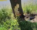 Man rijdt tegen boom