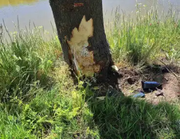 Man rijdt tegen boom