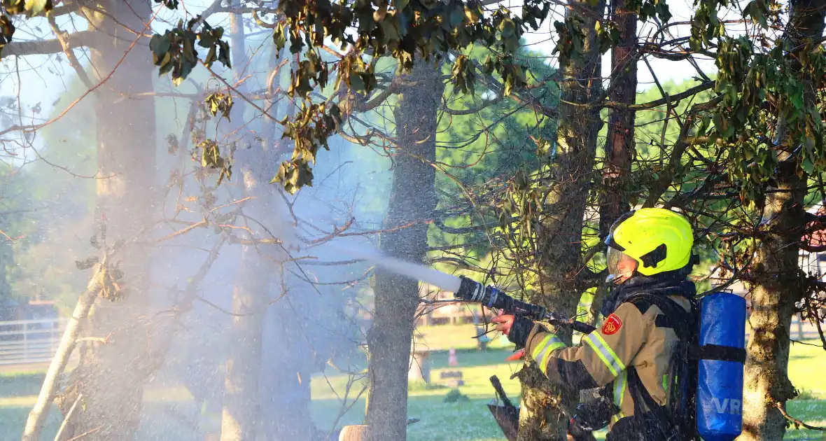 Bomen en pipowagen in brand - Foto 1