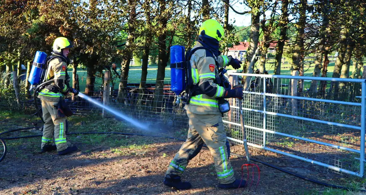 Bomen en pipowagen in brand - Foto 11