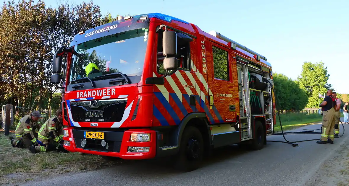 Bomen en pipowagen in brand - Foto 12