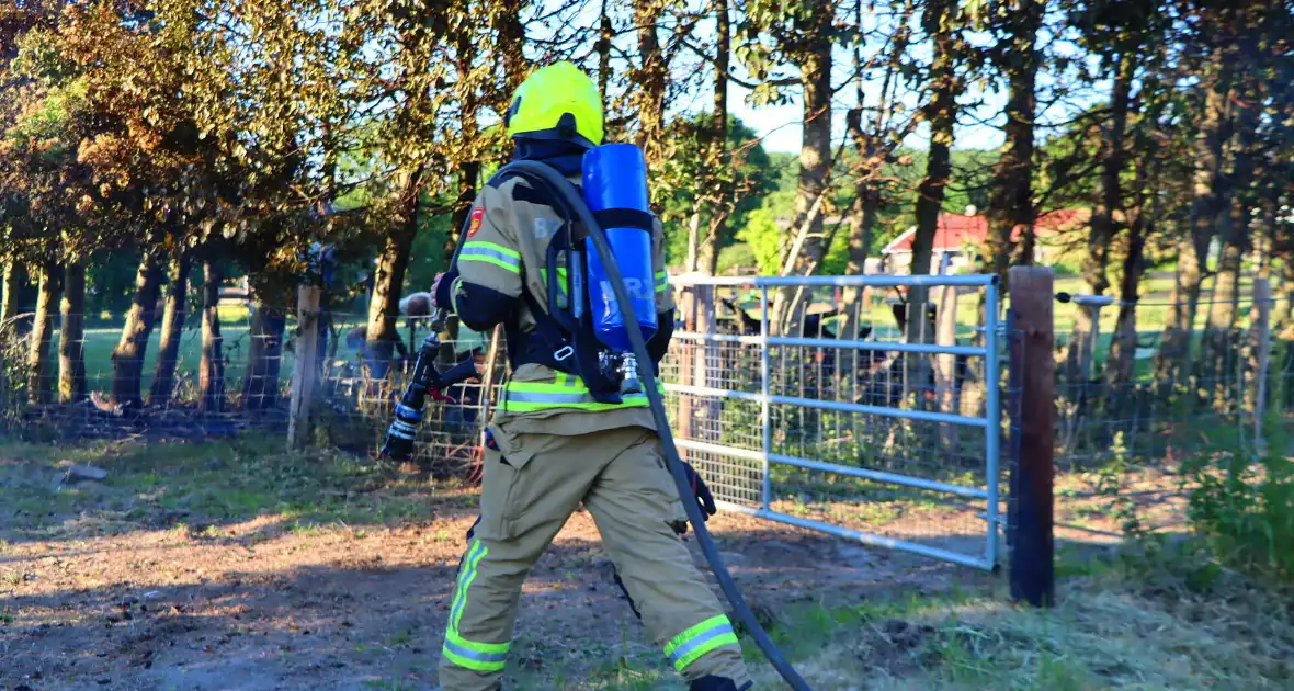 Bomen en pipowagen in brand - Foto 7
