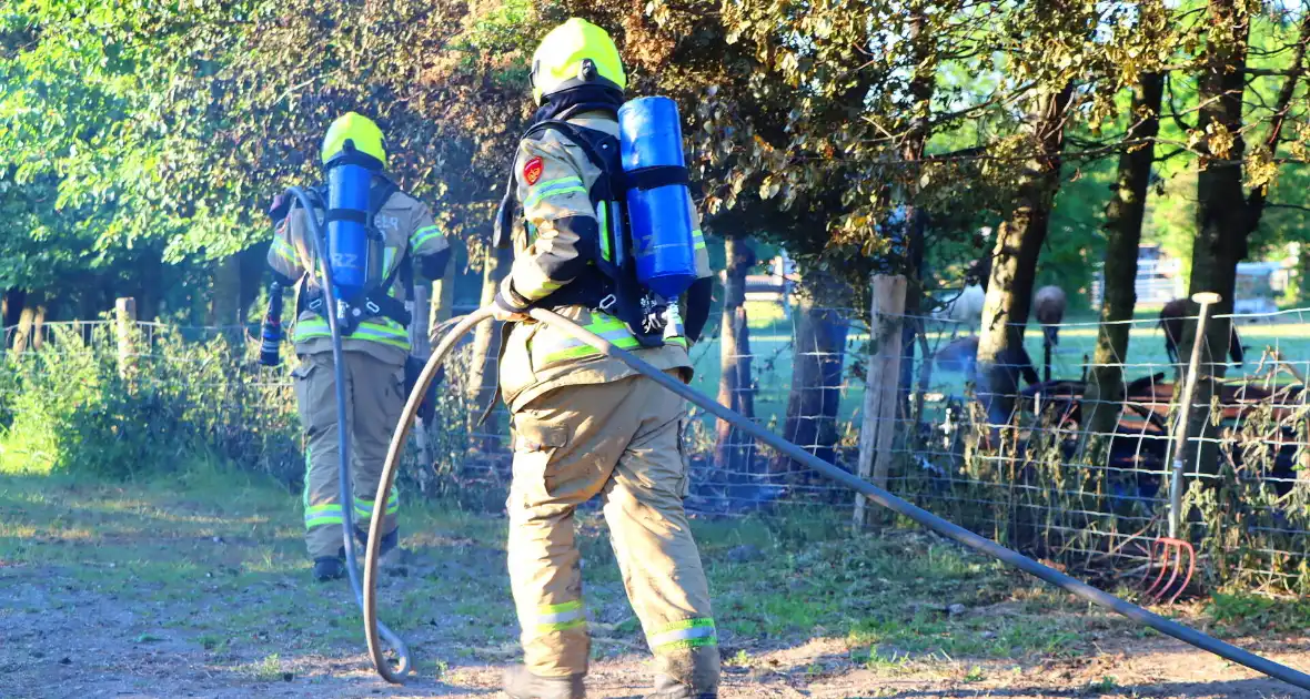 Bomen en pipowagen in brand - Foto 8