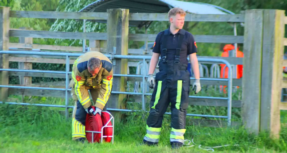 Brandweer redt uit uitgeputte Schotse Hooglander uit sloot - Foto 2