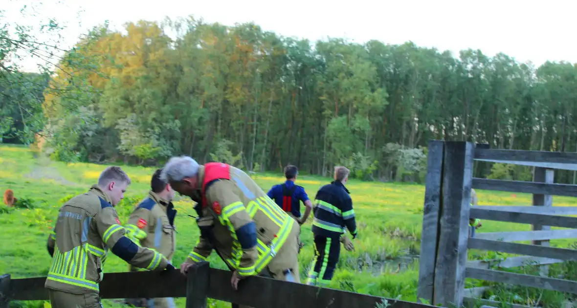 Brandweer redt uit uitgeputte Schotse Hooglander uit sloot - Foto 8