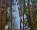 Brandweer ingezet voor bosbrand