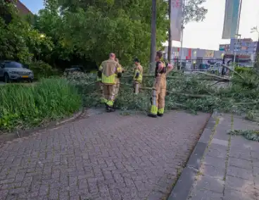 Brandweer ingezet voor boom over de weg