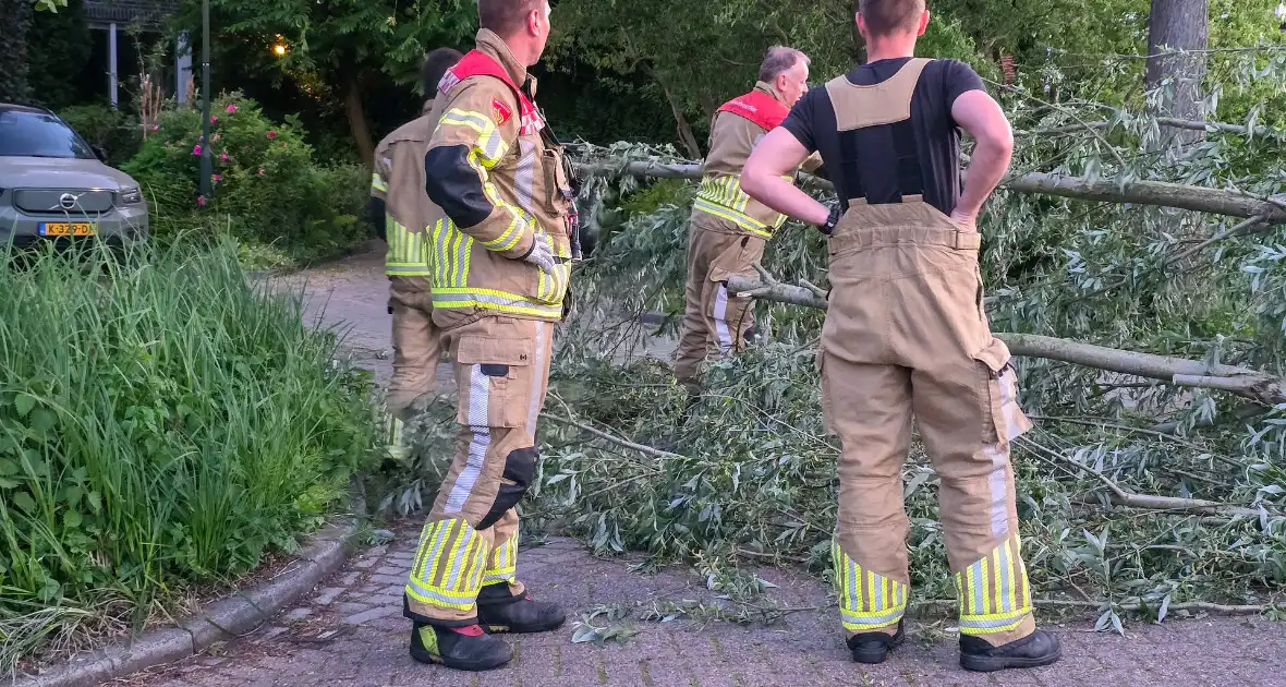 Brandweer ingezet voor boom over de weg - Foto 1
