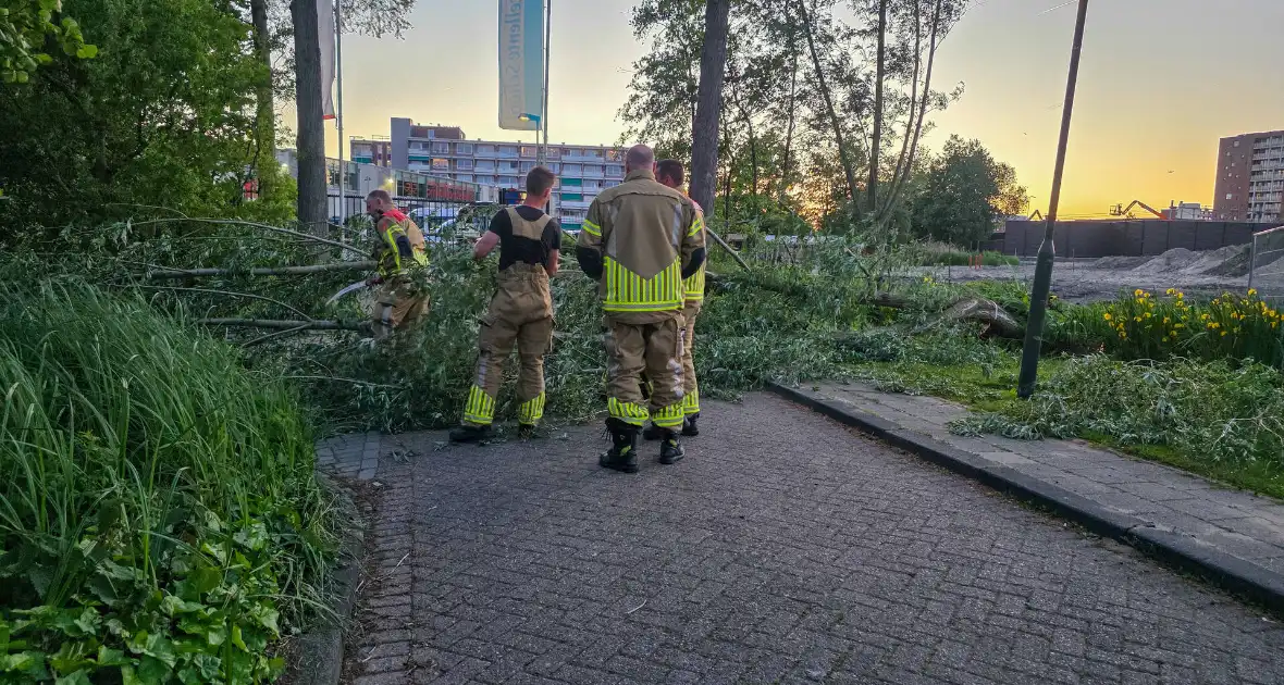 Brandweer ingezet voor boom over de weg - Foto 2