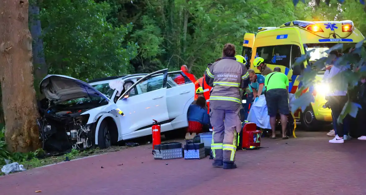 Gewonden nadat auto tegen boom klapt