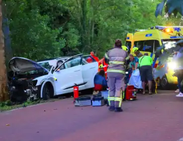 Gewonden nadat auto tegen boom klapt