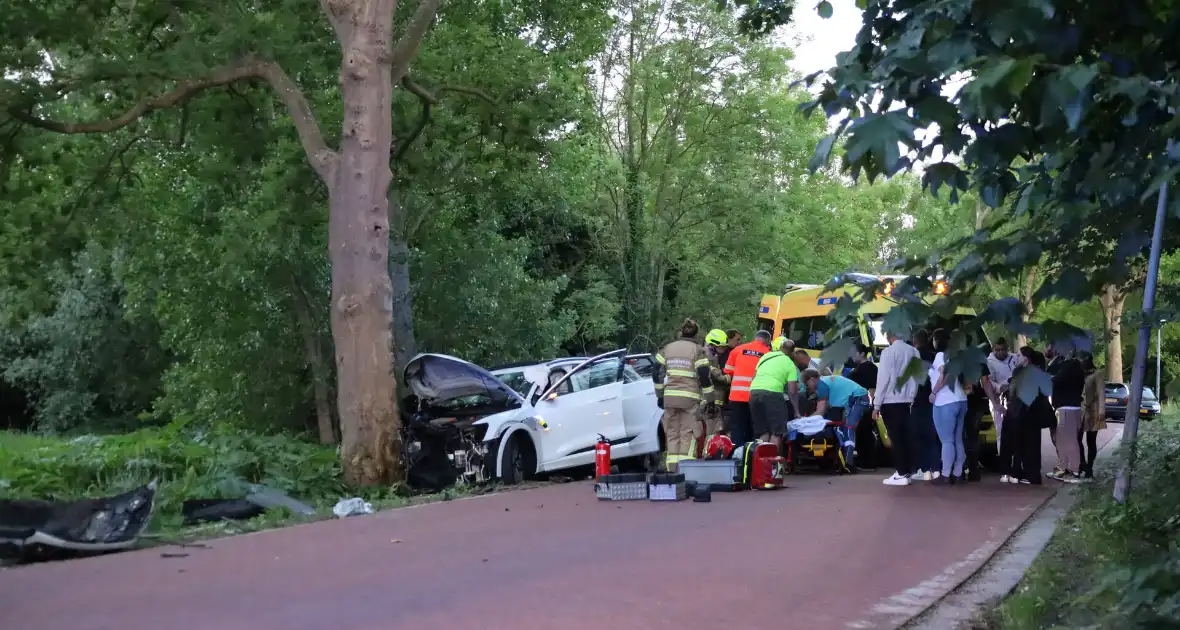 Gewonden nadat auto tegen boom klapt - Foto 5