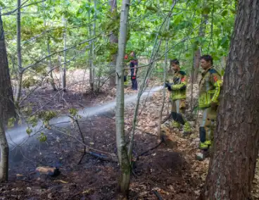 Brand in natuurgebied in de kiem gesmoord