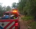 Brand in bosgebied door brandweer geblust