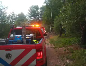 Brand in bosgebied door brandweer geblust