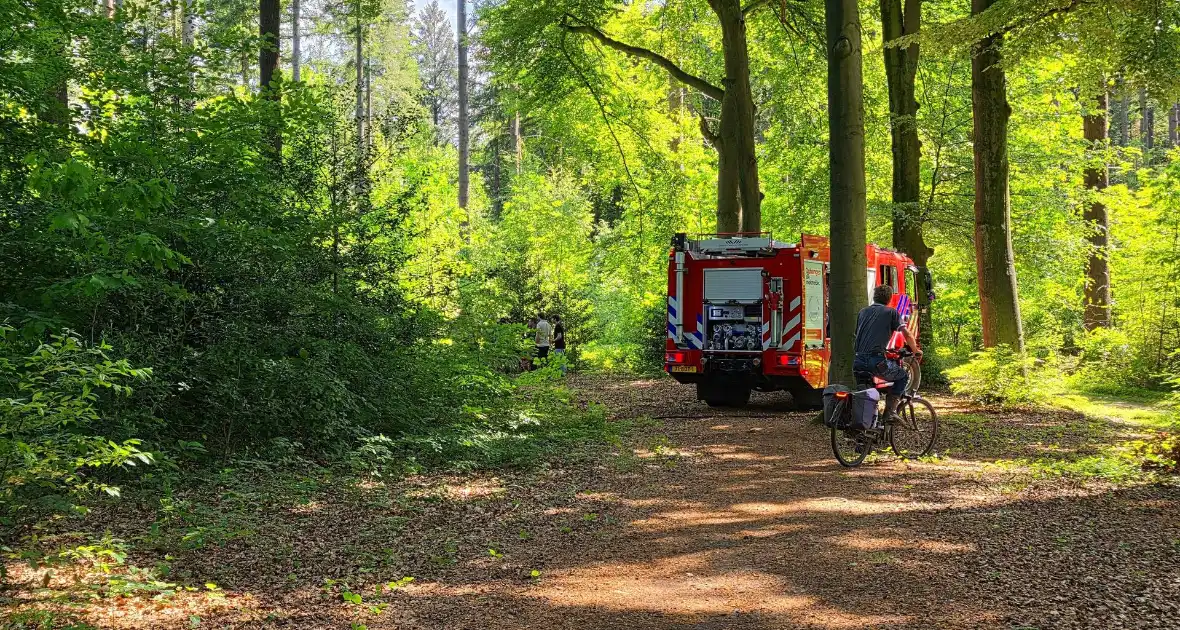 Grote brandweerinzet bij bosbrand - Foto 3