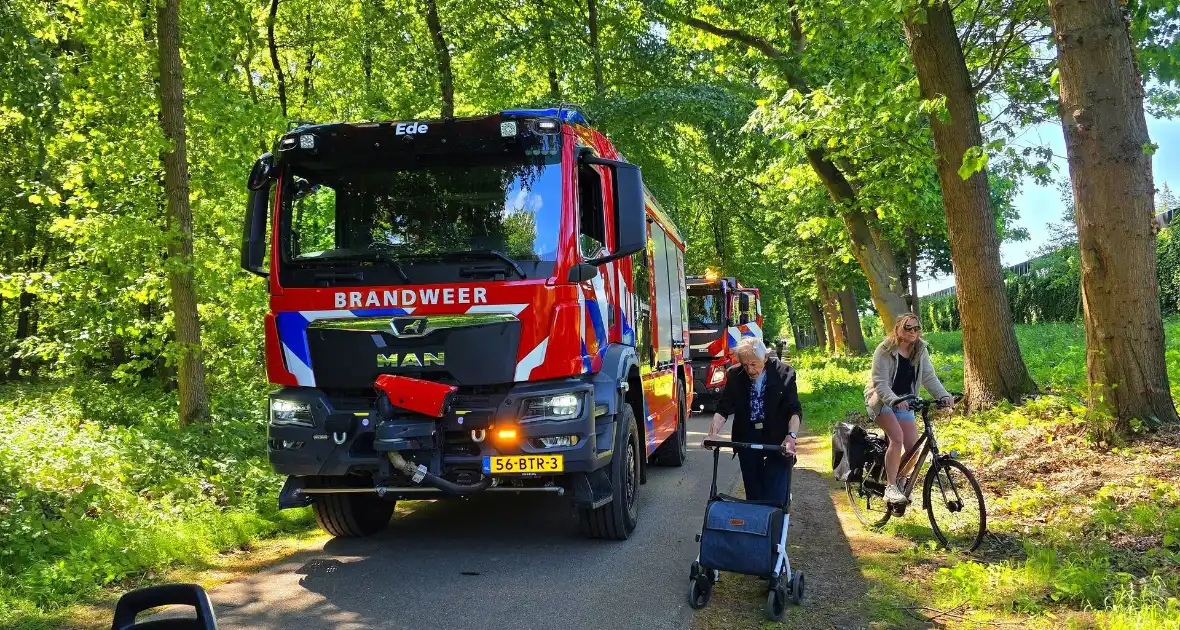 Grote brandweerinzet bij bosbrand - Foto 4