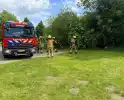 Scooter in brand gestoken