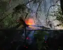 Brand in bos zorgt voor inzet brandweer