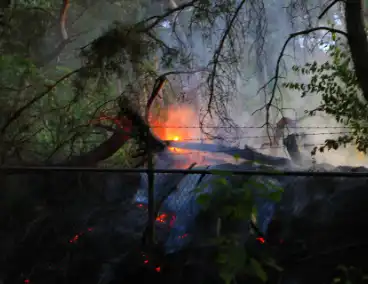 Brand in bos zorgt voor inzet brandweer