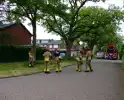 Onveilige situatie door afbrekende tak