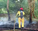 Oplettende voorbijgangers ontdekken bosbrand