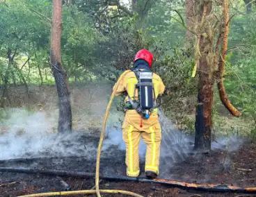 Oplettende voorbijgangers ontdekken bosbrand