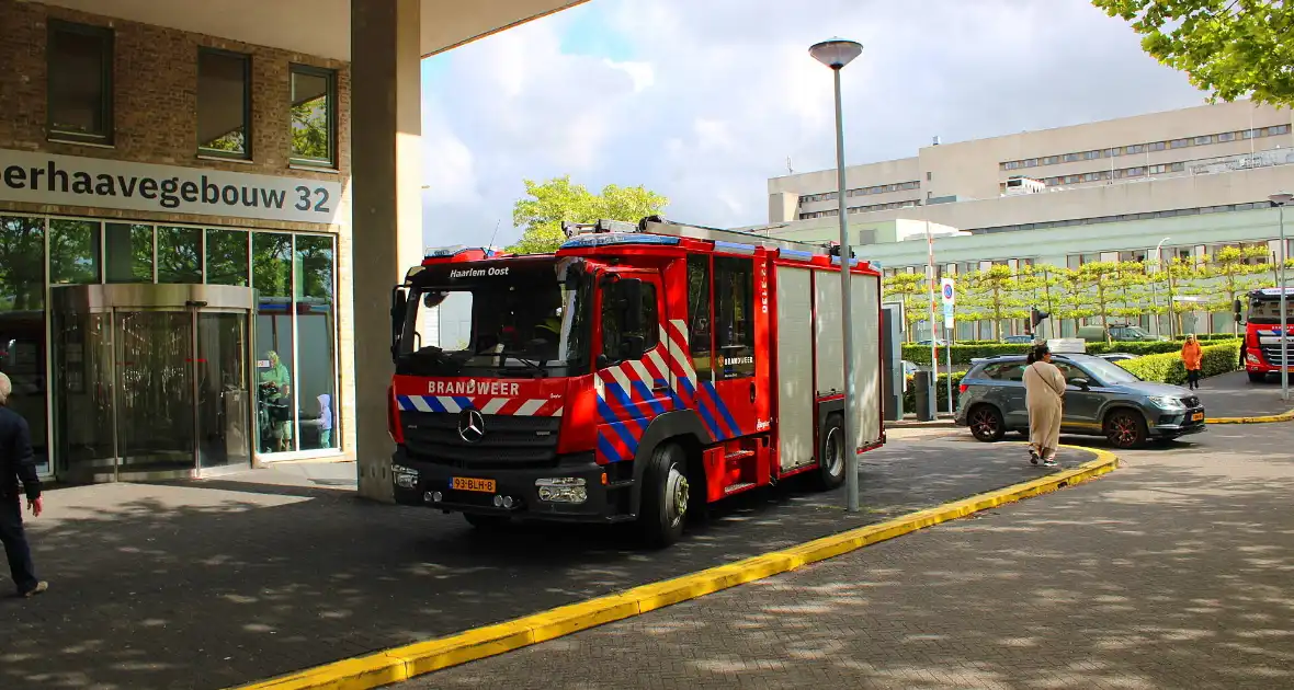 KinderBeestFeest zorgt voor onvergetelijke momenten