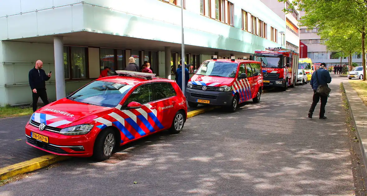 KinderBeestFeest zorgt voor onvergetelijke momenten - Foto 1