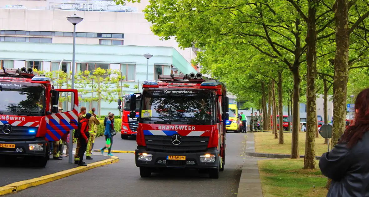 KinderBeestFeest zorgt voor onvergetelijke momenten - Foto 11